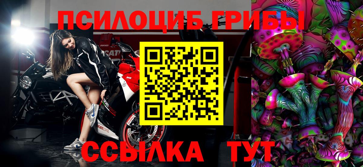 Галлюциногенные грибы Psilocybine cubensis  Вход с VPN  Знаменск 